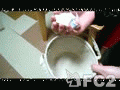 動画:presentB