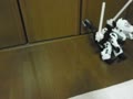 動画:ペルセウスVSゴジュラスMk-2