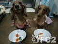 動画:お裾分けのケーキをいただき~♪